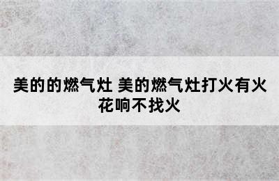 美的的燃气灶 美的燃气灶打火有火花响不找火